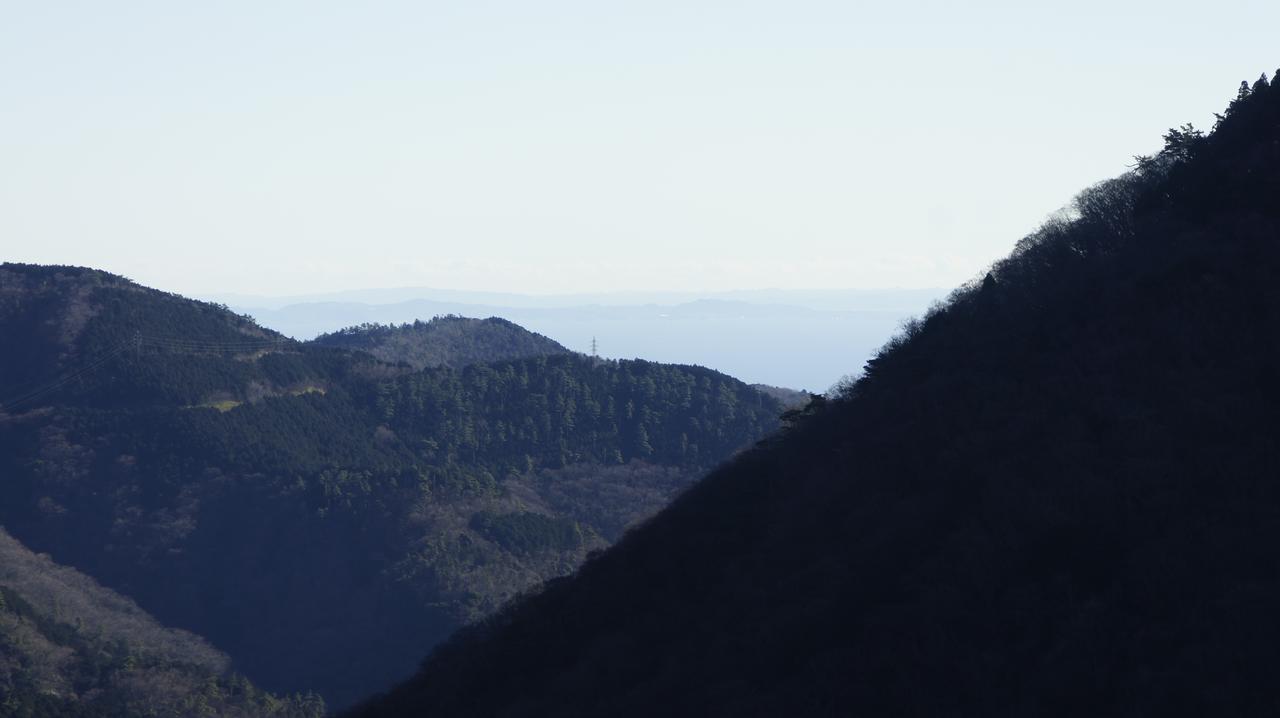 Hakone Forest Of Verde Bagian luar foto