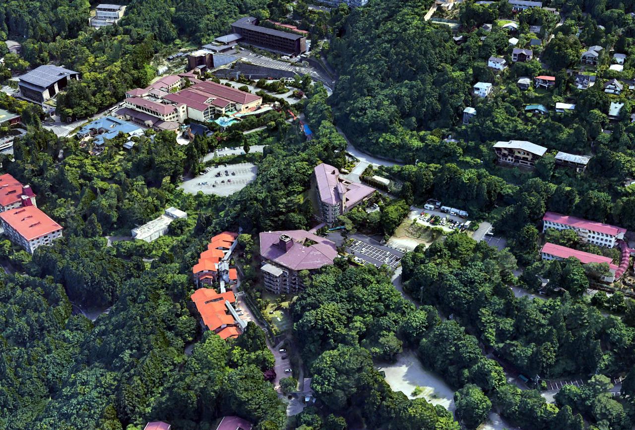 Hakone Forest Of Verde Bagian luar foto